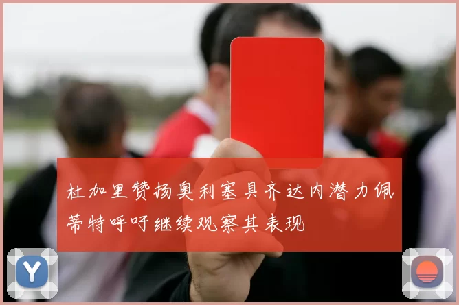 杜加里赞扬奥利塞具齐达内潜力佩蒂特呼吁继续观察其表现