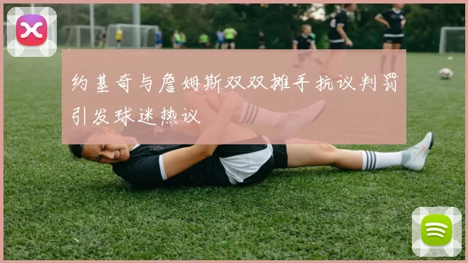 约基奇与詹姆斯双双摊手抗议判罚引发球迷热议
