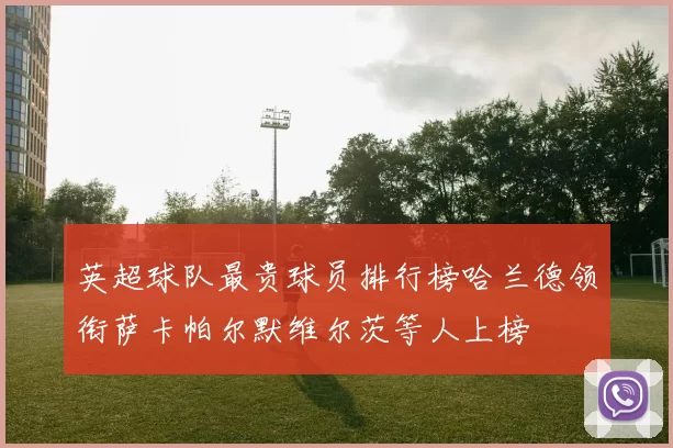 英超球队最贵球员排行榜哈兰德领衔萨卡帕尔默维尔茨等人上榜