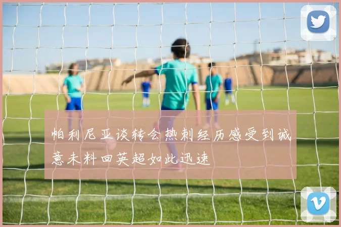 帕利尼亚谈转会热刺经历感受到诚意未料回英超如此迅速
