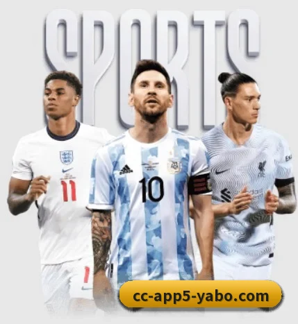 了解平台 - 体育资讯内容服务 - YaboSports