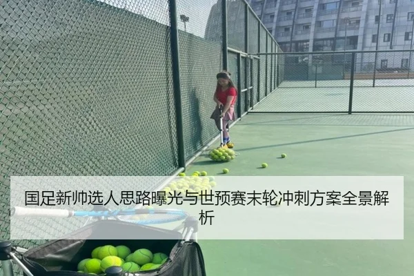 国足新帅选人思路曝光与世预赛末轮冲刺方案全景解析 - YaboSports